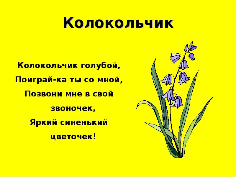 Стих про колокольчик. Стихотворение про колокольчик для детей. Стихи о колокольчиках цветах. Детское стихотворение про колокольчик. Стих про цветок колокольчик для детей.