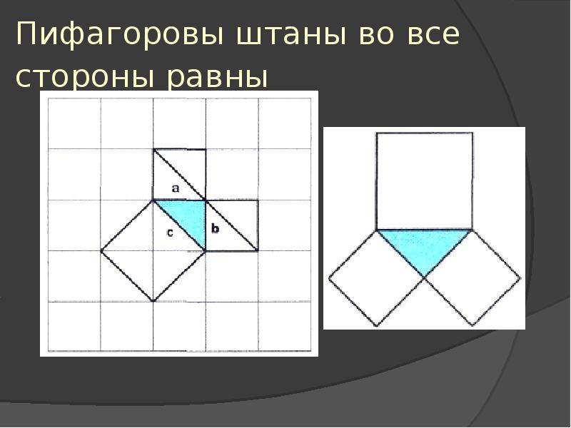 Пифагоровы штаны картинка