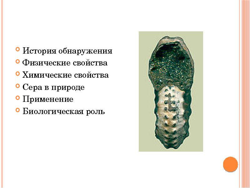 Этапы заселения австралии. Озоновые дыры решение проблемы. История обнаружения. История обнаружения озона ученами. «заболевания как проблема месторасположения.