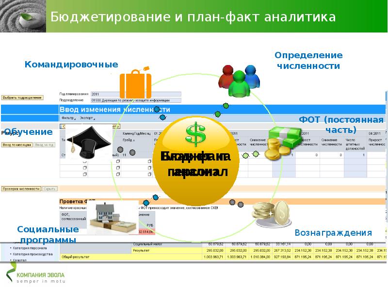 План факт обучение