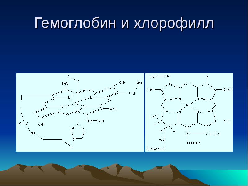 Хлорофилл является. Структура хлорофилла и гемоглобина. Строение хлорофилла и гемоглобина. Молекула хлорофилла и гемоглобина. Формула гемоглобина и хлорофилла.