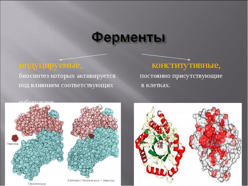 Ферменты проект по химии