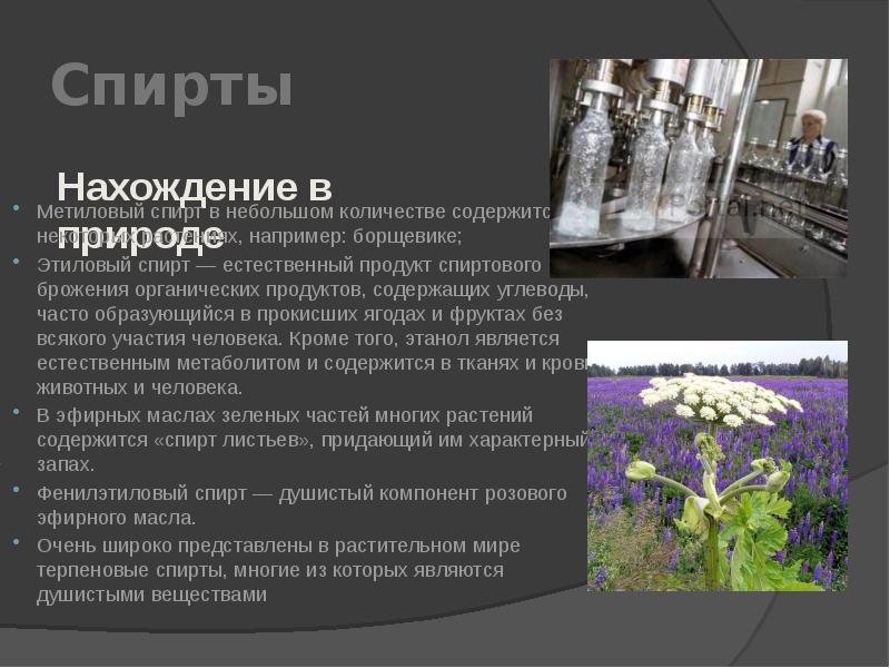 сообщение этанол