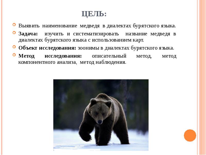 Медведь перевод. Медведь на бурятском языке. Животные на бурятском языке.