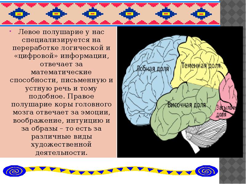 Загадки полушарий головного мозга презентация