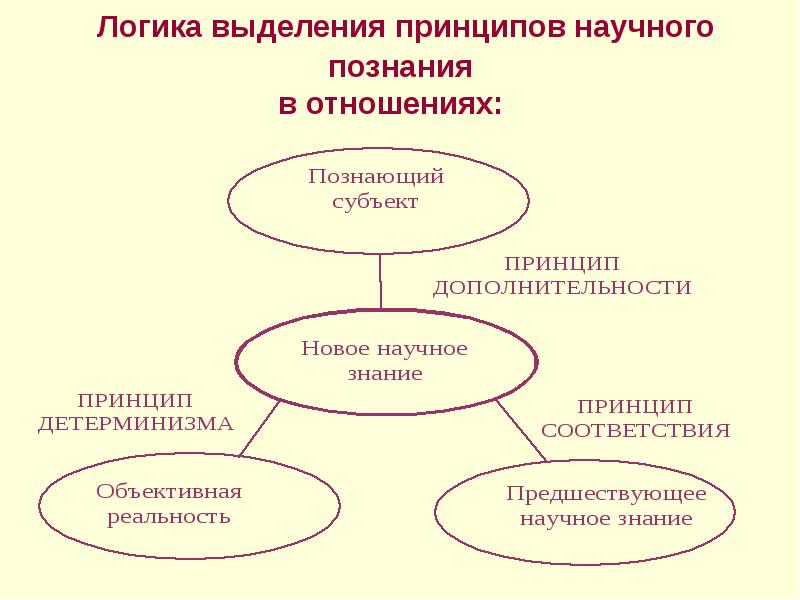 Выделите принципы. Логика научного познания. К. поппер 