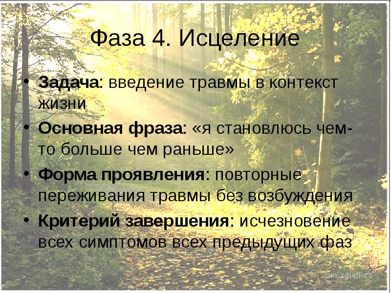 Контекст жизни. Задачи исцеления. Главная задача по жизни. Ключевые фразы завершения этапа 