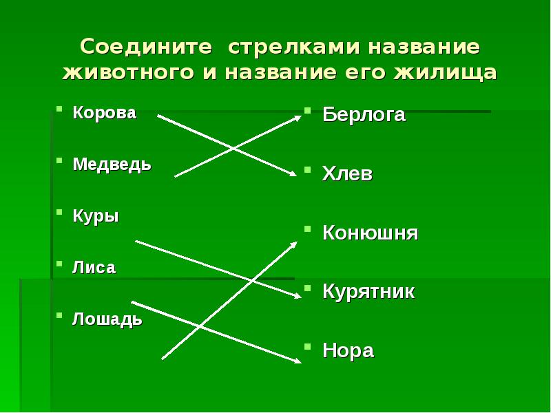 Укажи стрелками названия