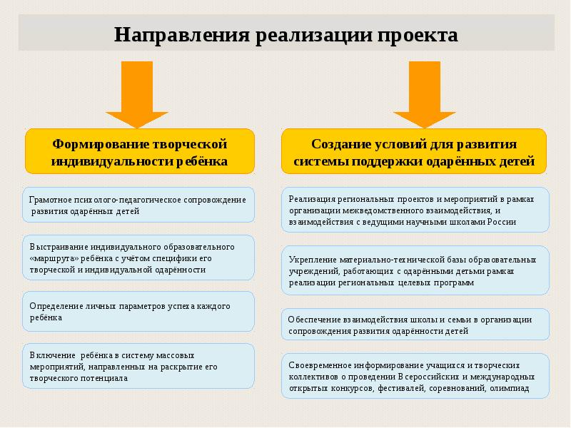 Реализация направлений. Проект успех каждого ребенка презентация. Успех каждого ребенка задачи и цели проекта. Цель проекта успех каждого ребенка. Успех каждого ребёнка в реализации проекта.