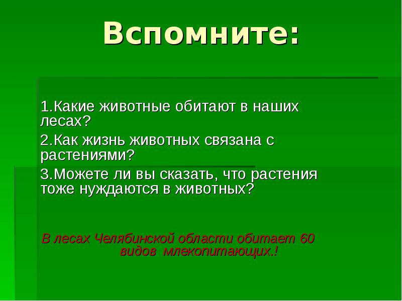 Как животные связаны с растениями