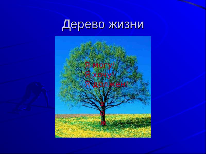 Года жизни деревьев. Дерево жизни презентация. Дерево жизни Казань. Дерево жизни и здоровья.