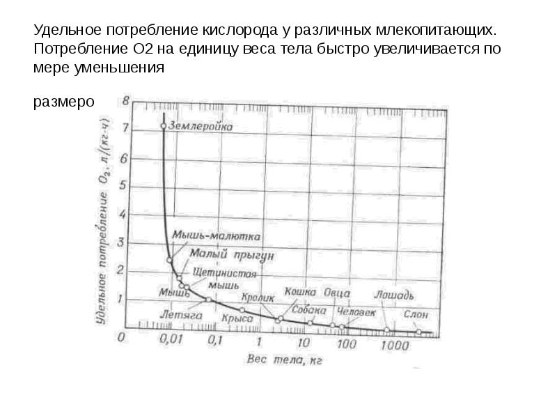 Расход кислорода