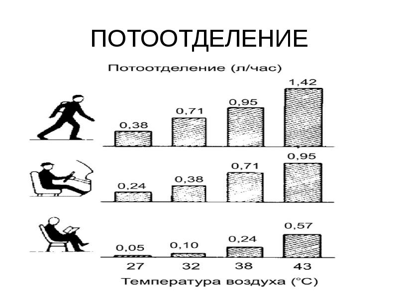 Потоотделение картинки биология