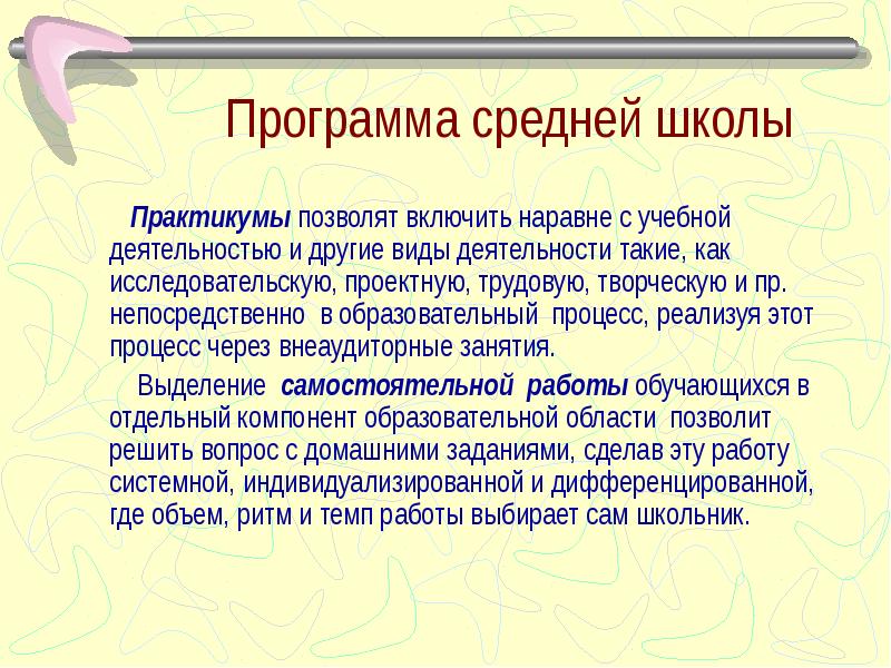 Программа средний. Программа средней школы. Какая программа в средней школе. Что такое практикум в школе.