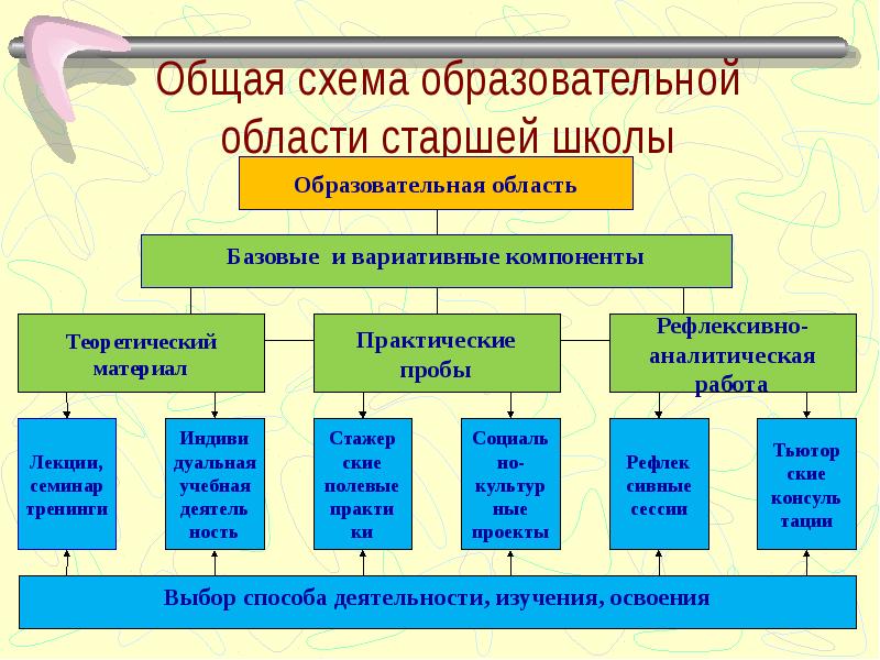 Схема общеобразовательной школы. Схемы учебные. План схема всеобщего государственного образования. Образовательная область проекта.