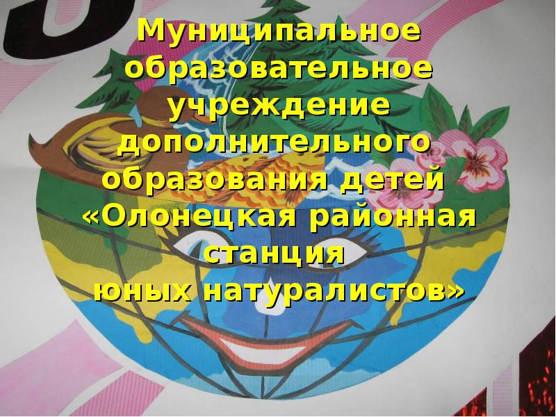 Муниципальное образовательное учреждение дополнительного образования