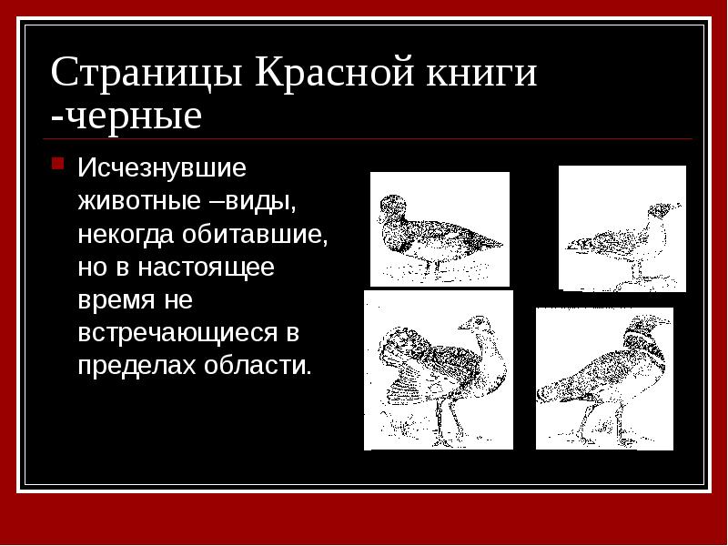 Черные страницы красной книги