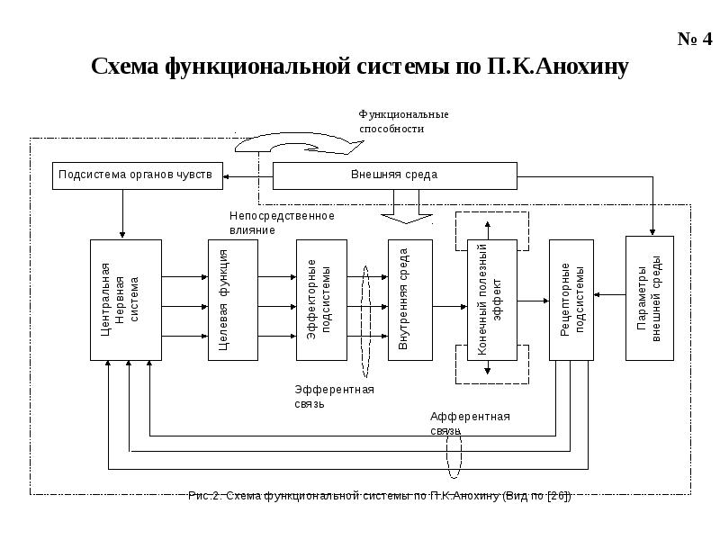 Онлайн построение функциональных схем