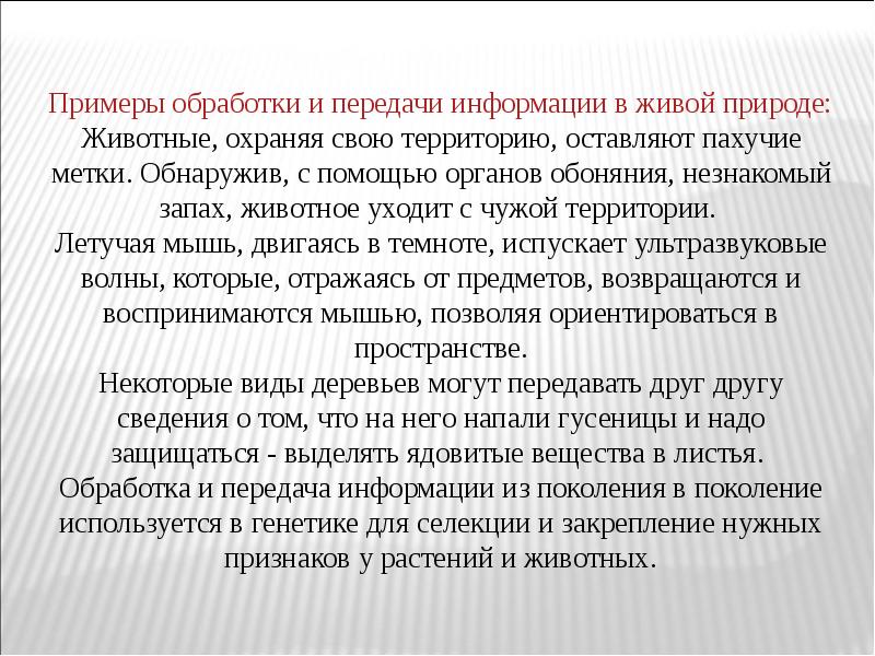 Информация обрабатывается примеры. Обработка информации в живой природе примеры. носители информации в живой природе. сообщение: передача информации в живой природе.