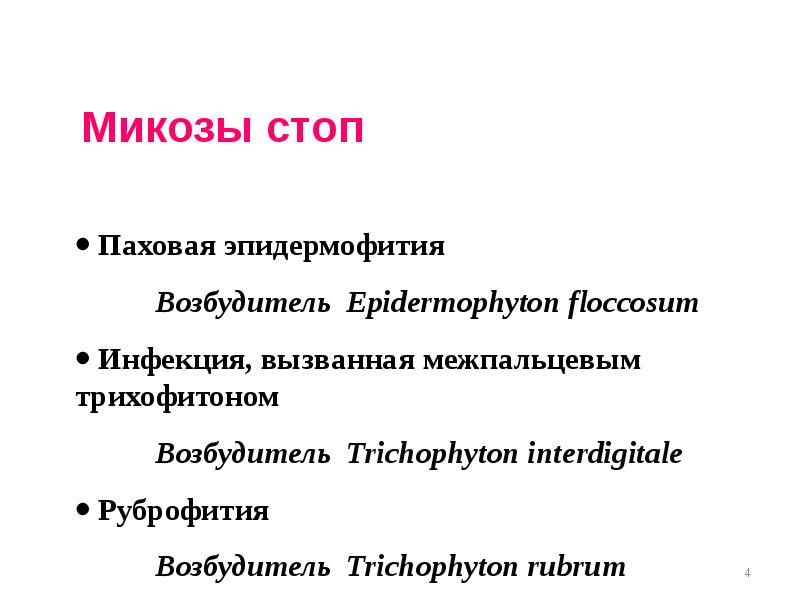 микозы дерматомикозы морфология. медицинская классификация грибов микробиология. возбудители грибковых респираторных инфекций классификация. возбудителями микоза являются. возбудители поверхностных микозов микробиология.