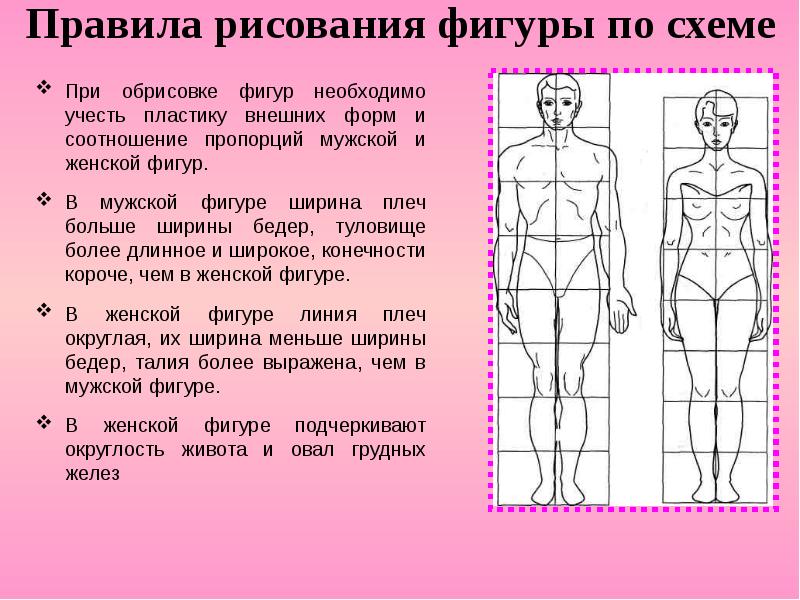 Схема построения человека