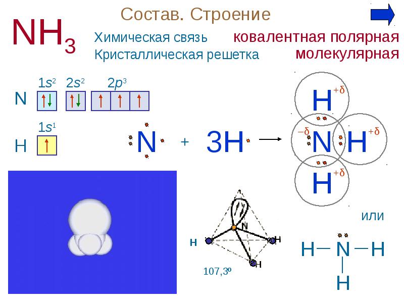 Схема образования аммиака