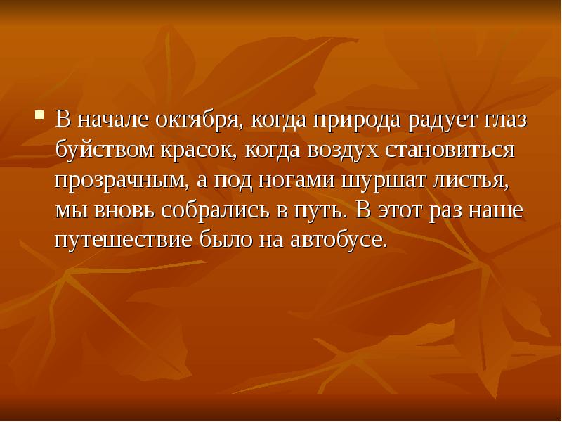 Длинный ряд невиданных картин в старинных рамах развешанных по некрашеным стенам радовал глаз