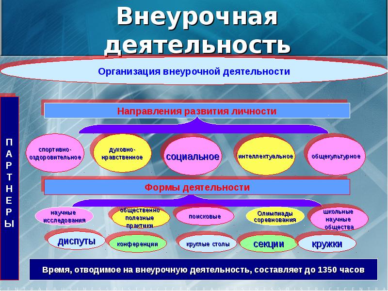 Место и значение окружающего мира в учебном плане начальной школы