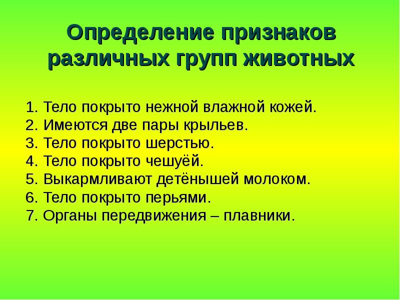 Определение Животного По Фото