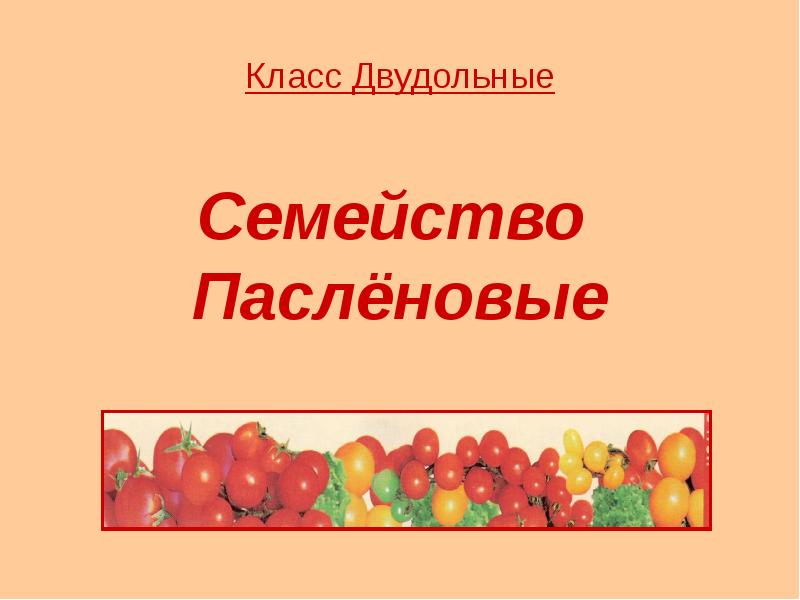 Биология 6 класс семейство пасленовые презентация 6 класс