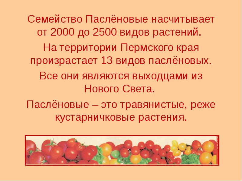 Семейство пасленовые презентация 6 класс