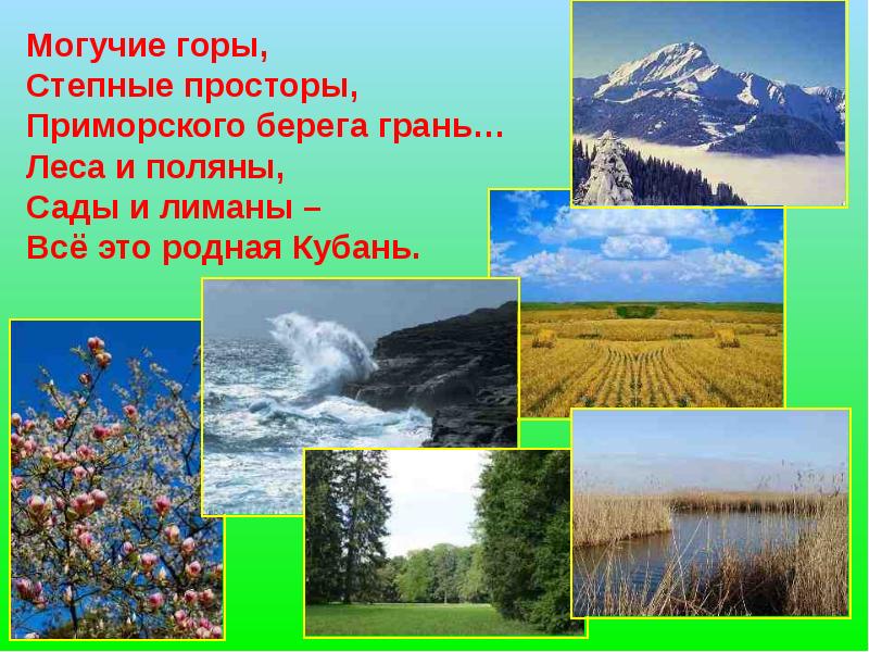 Природа краснодарского края проект