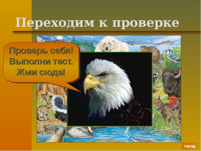 Переходим к проверке Переходим к проверке
