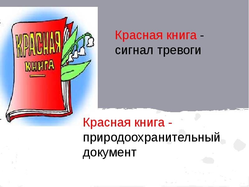 Под защитой красной книги. Красная книга рисунок 2 класс. Рисунки для проекта красная книга. Проект красная книга или возьмем под защиту рисунки.