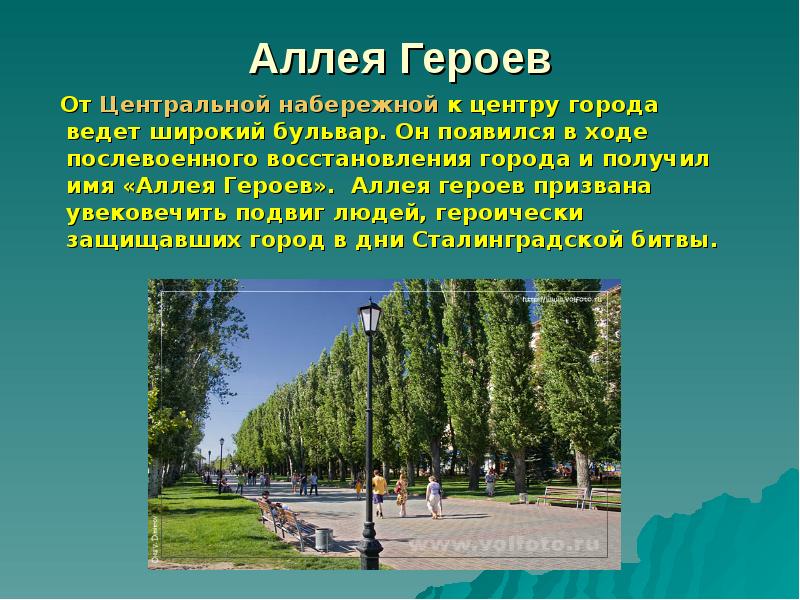 Описать аллею. Аллея героев Волгоград памятники Волгограда. Аллея героев Сталинградской битвы. Памятник на аллее героев в Волгограде. Аллея героев Волгоград сообщение.