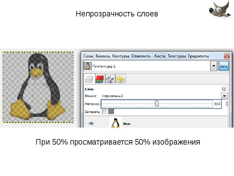 Презентация по теме gimp