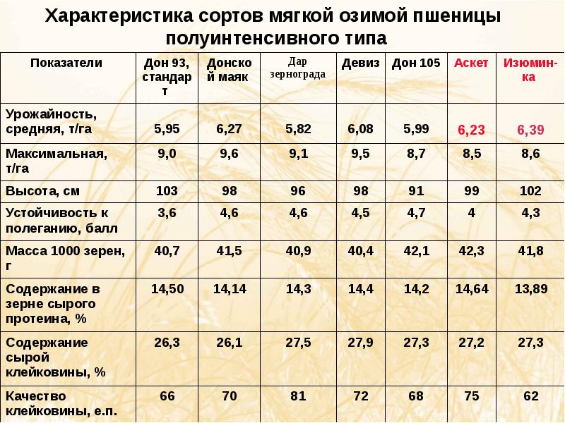 Классы пшеницы. Параметры зерна пшеницы 3 класса. Показатели качества зерна озимой пшеницы таблица. Показатели качества зерна пшеницы мягкой. Качественные характеристики пшеницы.