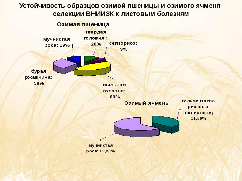 Люди проявившие смелость - Telegraph