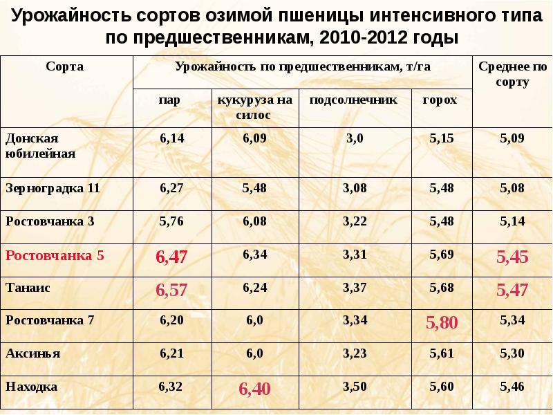 Юг руси прайс лист на зерно