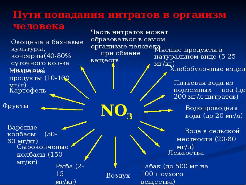 Влияние на здоровье человека нитратов и нитритов содержащихся в продуктах питания проект