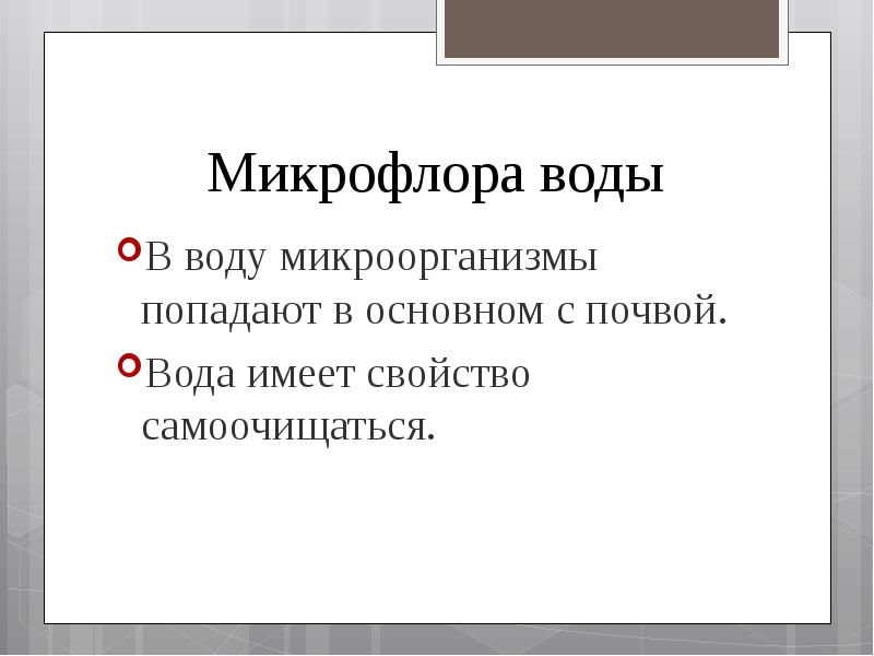 Постоянная микрофлора