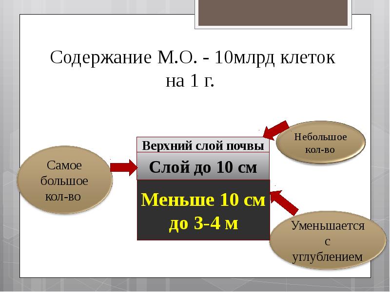 Содержание м