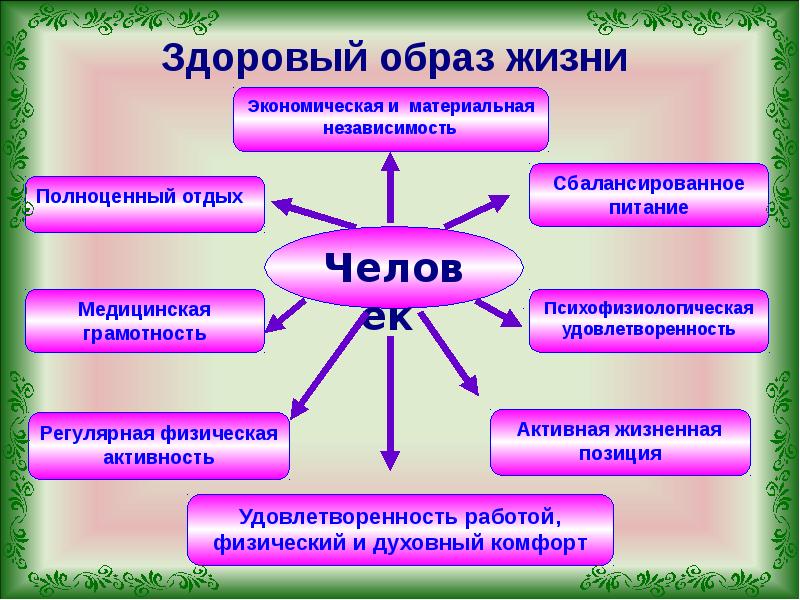 Особенности строения образа жизни. Воспитание здорового образа жизни. Модель здорового образа жизни.