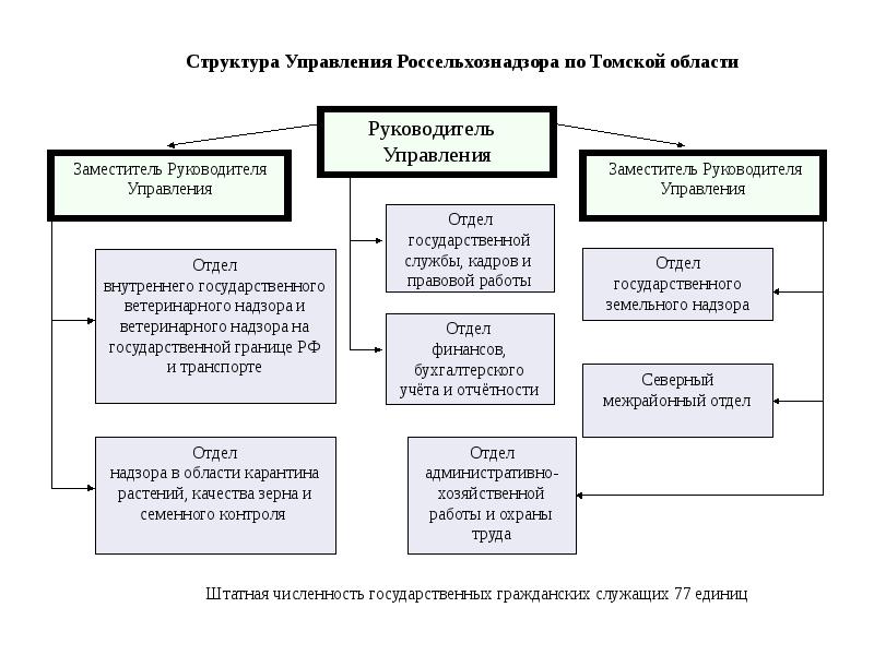 Структура россельхознадзора рф схема