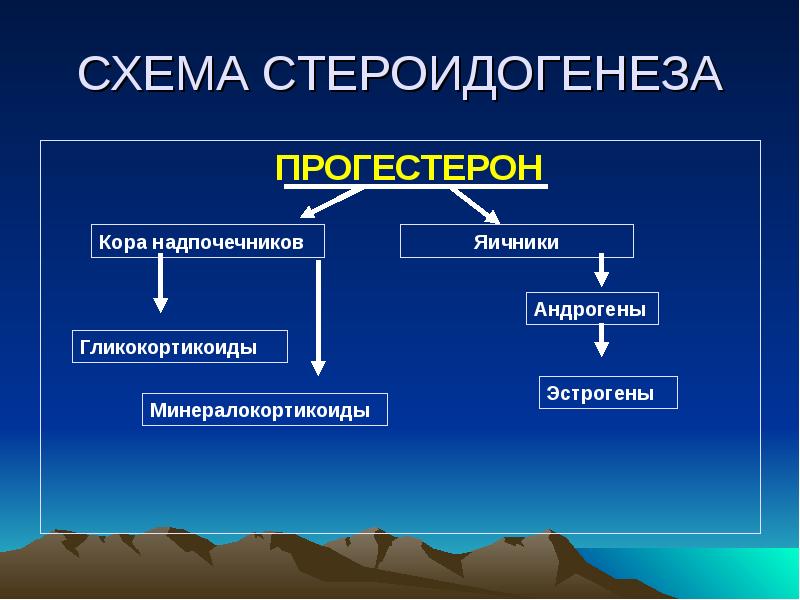 Стероидогенез