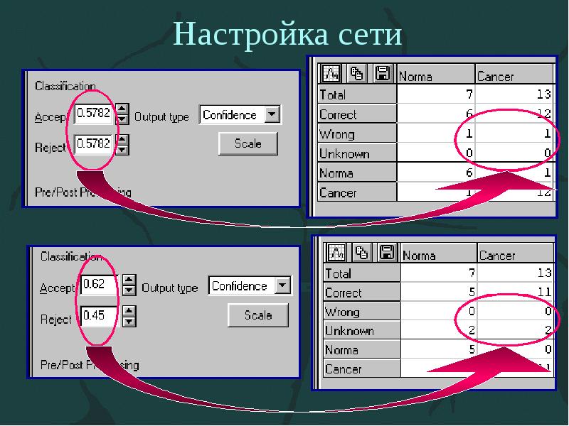 Настройка сети Настройка сети