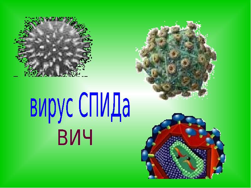 Вирусы презентация 8 класс