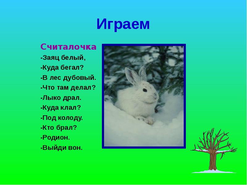 Зайцы бегали в лесу. Считалка заяц белый. Считалочка про белого зайца. Считалка заяц белый куда бегал. Заяц белый куда бегал в лес дубовый что там.