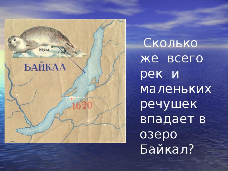 Сколько озер впадает в байкал. Байкал реки впадающие и вытекающие. Сколько рек впадает в Байкал. Реки впадающие в озеро Байкал. Сколько рек впадает в озеро Байкал.