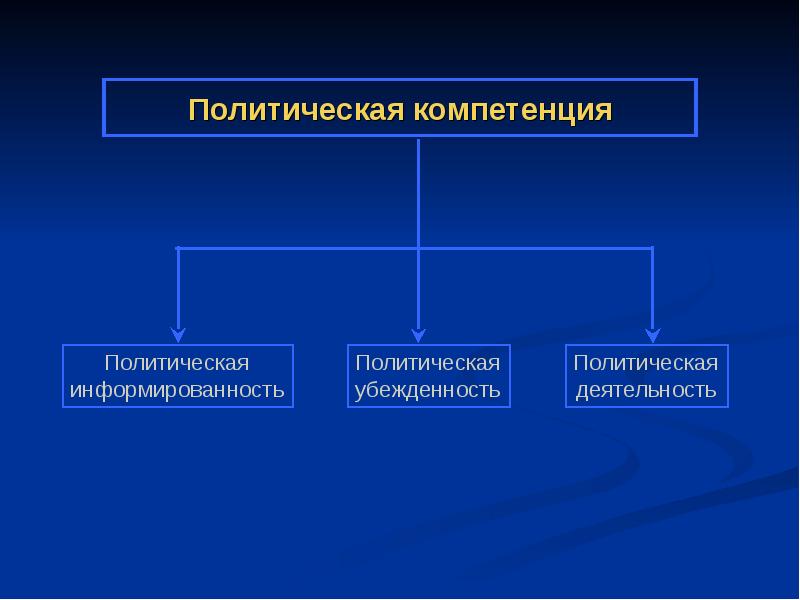 Компетенция политиков. Политическая компетентность. Политические компетенции.